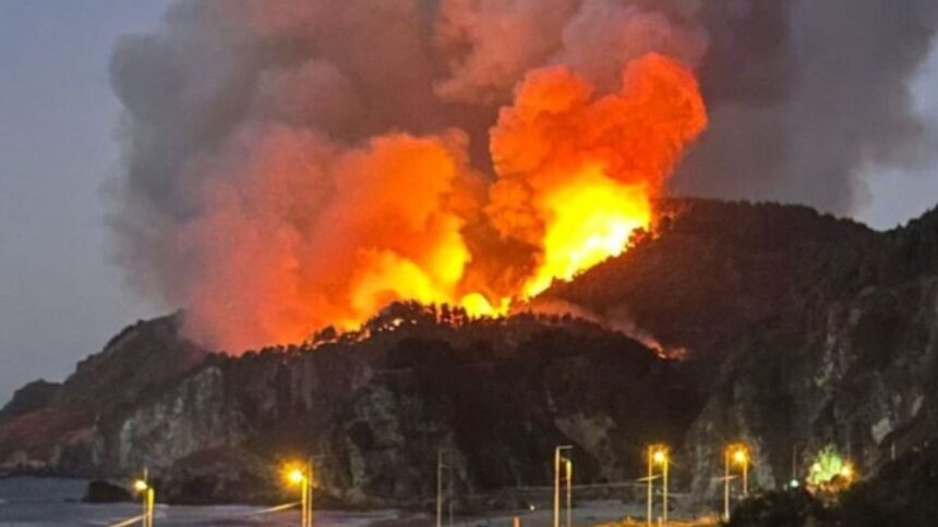 Incendio forestal en Lebu: emergencia activa en Playa Millaneco