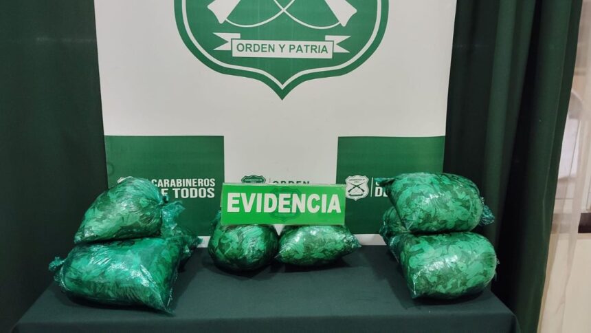 Decomisan 3 kilos de coca en bus de Santiago a Puerto Montt