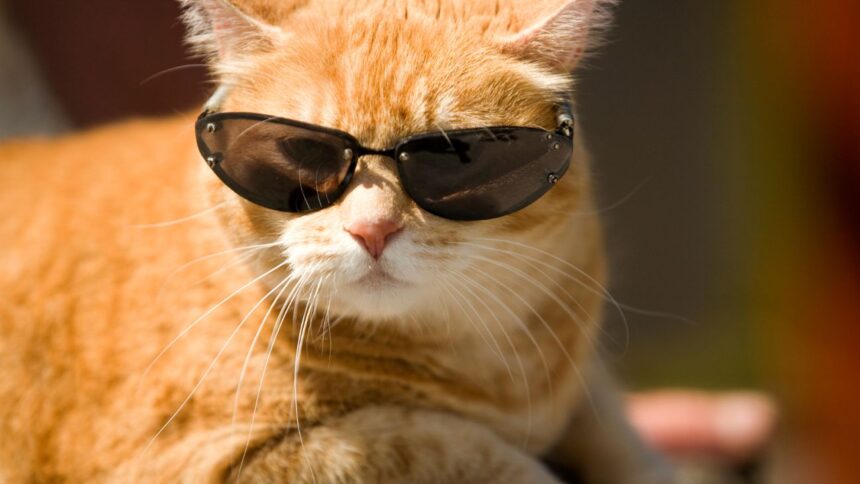 Cambio de clima en Santiago: Temperaturas bajarán este viernes