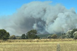 Ayuda temprana a familias afectadas por incendios forestales en Purén