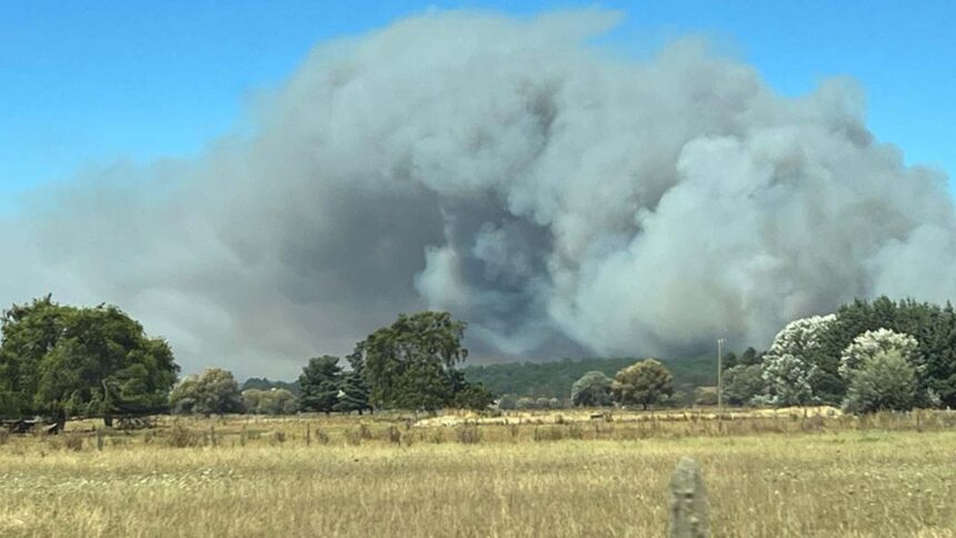 Ayuda temprana a familias afectadas por incendios forestales en Purén