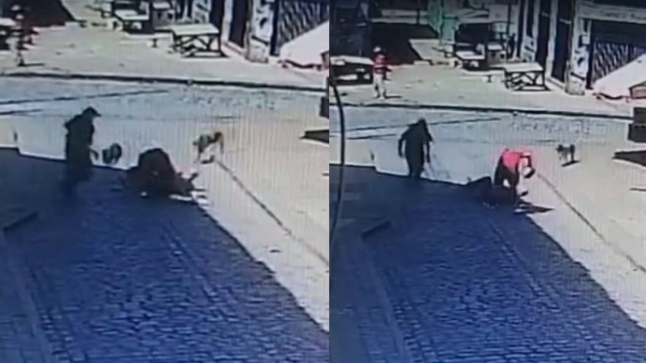Perros en Valparaíso detienen a ladrón y protegen a turista Perros en Valparaíso detienen a ladrón y protegen a turista