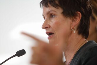 Coordinadora del Wallmapu niega vínculo mapuche con incendios en La Araucanía