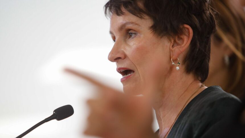 Coordinadora del Wallmapu niega vínculo mapuche con incendios en La Araucanía