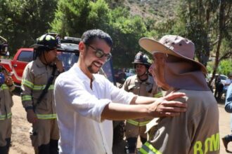 Acciones legales por intento de incendio en Parque Quebrada de Macul