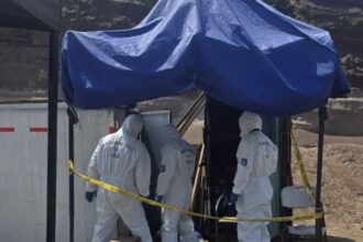 Hallan cadáver en contenedor con cirrosis hepática alcohólica en Antofagasta
