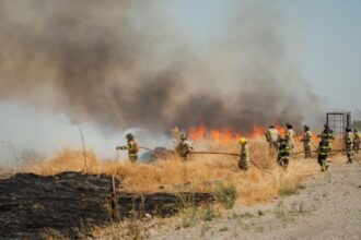Investigación de incendios en Ñuble: 25 órdenes de investigar activas