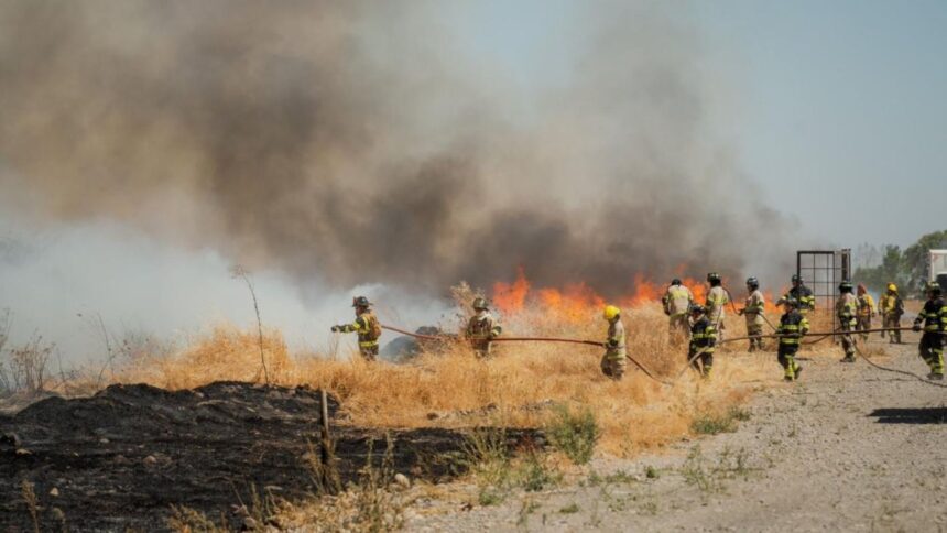 Investigación de incendios en Ñuble: 25 órdenes de investigar activas