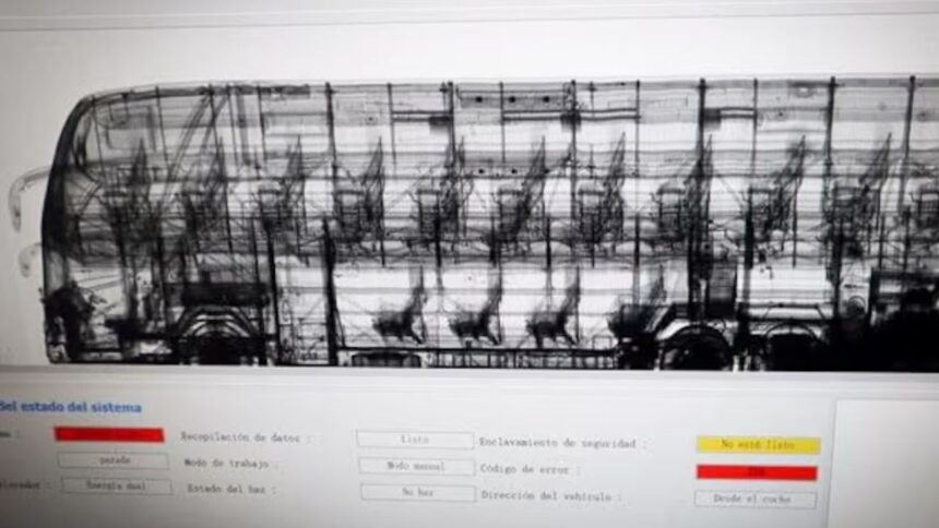 Incautados 25 kilos de droga en bus procedente de Bolivia