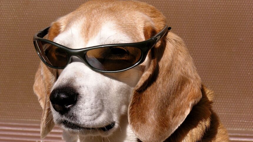 Pronóstico del tiempo en Chile: temperaturas agradables este lunes