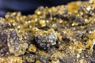 Gran avance en el proyecto El Pantano de oro en Argentina con inversión de $1 millón