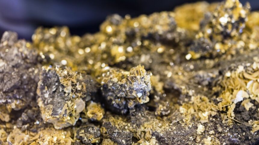 Gran avance en el proyecto El Pantano de oro en Argentina con inversión de $1 millón