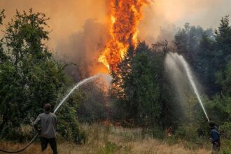 Incendios forestales en la Patagonia: alerta por posible evacuación