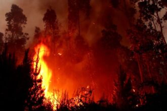 Alerta por megaincendio en frontera Chile-Argentina: riesgo para territorio nacional