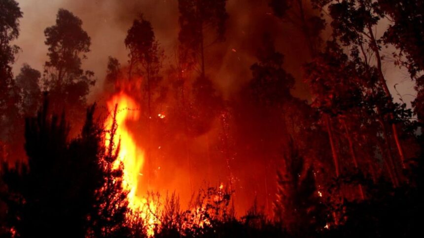 Alerta por megaincendio en frontera Chile-Argentina: riesgo para territorio nacional