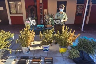 Desmantelan red de tráfico de drogas y armas en Buin: 7 detenidos