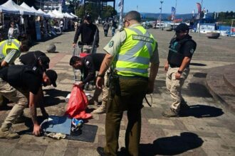 Aumento de citaciones por comercio ilegal en Valdivia durante verano