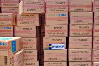 PDI de Arica detiene a siete personas por robo de camión