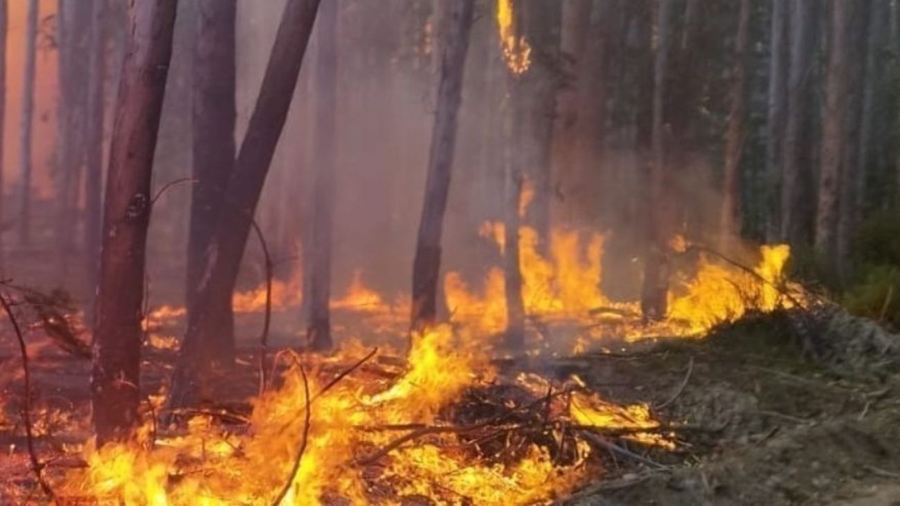 Detienen a hombre de 76 años por iniciar incendio en Paillaco