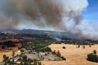 Alerta roja en Pitrufquén por incendio forestal: evacuación requerida