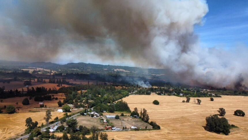 Alerta roja en Pitrufquén por incendio forestal: evacuación requerida