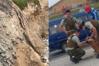 Rescate heroico en Valparaíso: Hombre y perro salvados de socavón peligroso