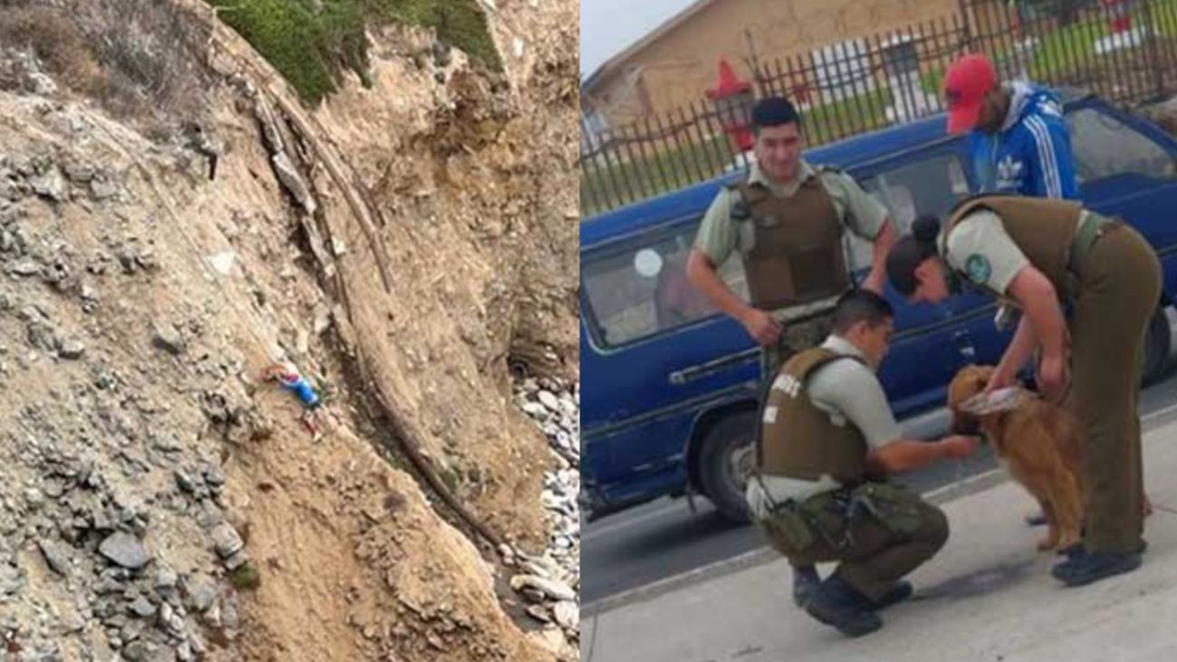 Rescate heroico en Valparaíso: Hombre y perro salvados de socavón peligroso Rescate heroico en Valparaíso: Hombre y perro salvados de socavón peligroso