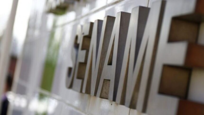 Estado chileno responsabilizado por muerte de adolescentes en centros del Sename