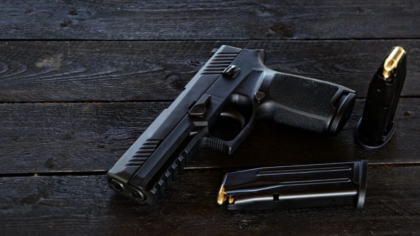 Roban 7 armas de fuego en condominio de Osorno, Chile