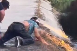 Impactante caída de ciclista en Viña del Mar: video viralizado