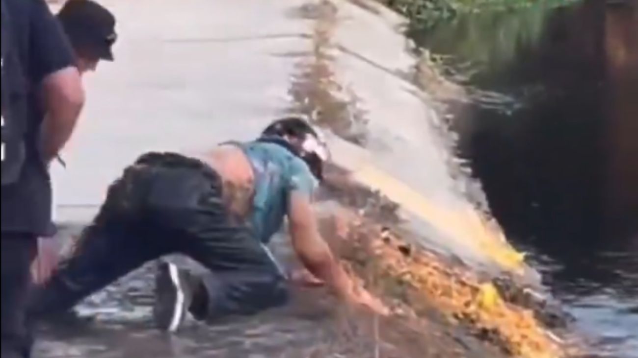 Impactante caída de ciclista en Viña del Mar: video viralizado Impactante caída de ciclista en Viña del Mar: video viralizado