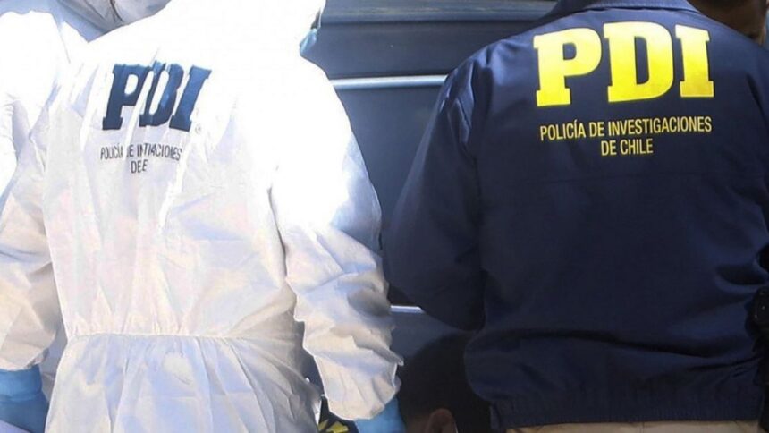 Muere turista suizo en Puerto Natales: detalles del trágico suceso