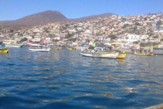 Trágico accidente en Guanaqueros: pescador fallece tras accidente en huinche