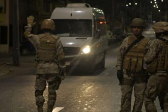 Fin del toque de queda por incendios en La Araucanía