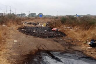 Vecinos de Coronel denuncian malos olores por desechos de jibia