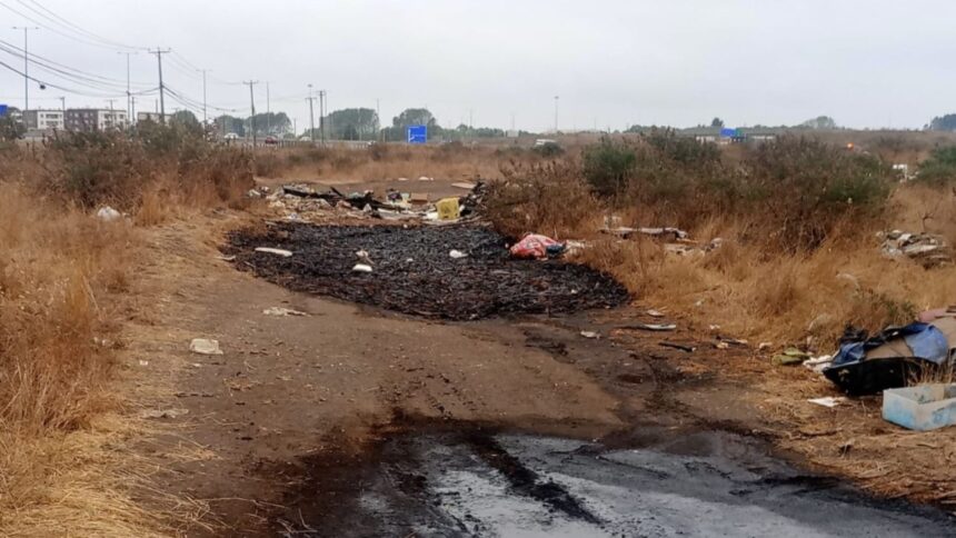 Vecinos de Coronel denuncian malos olores por desechos de jibia