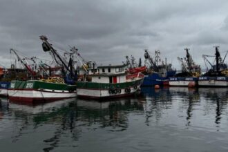 Tragedia en Talcahuano: Dos fallecidos y dos desaparecidos tras naufragio