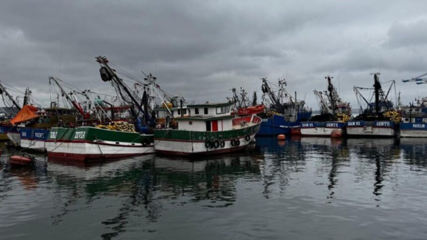 Tragedia en Talcahuano: Dos fallecidos y dos desaparecidos tras naufragio