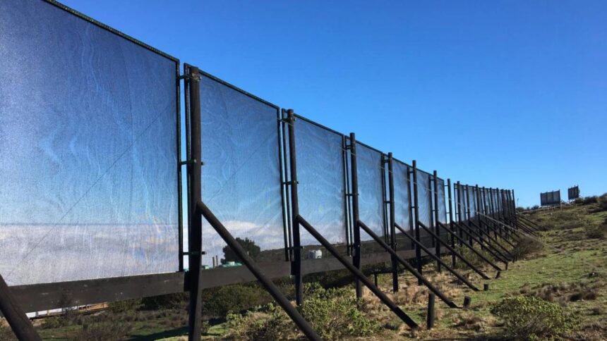 Recolección de niebla en zonas secas: solución sostenible para escasez de agua