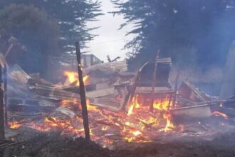 Incendio en Centro de Rehabilitación de Chiloé Silvestre causa muerte de lobo marino