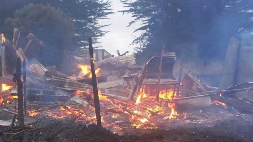 Incendio en Centro de Rehabilitación de Chiloé Silvestre causa muerte de lobo marino