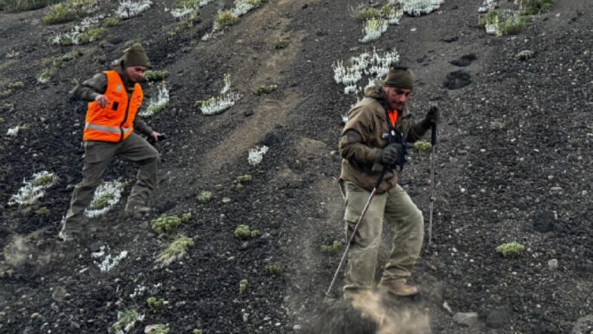 Hombre desaparecido en volcán Llaima es encontrado con vida
