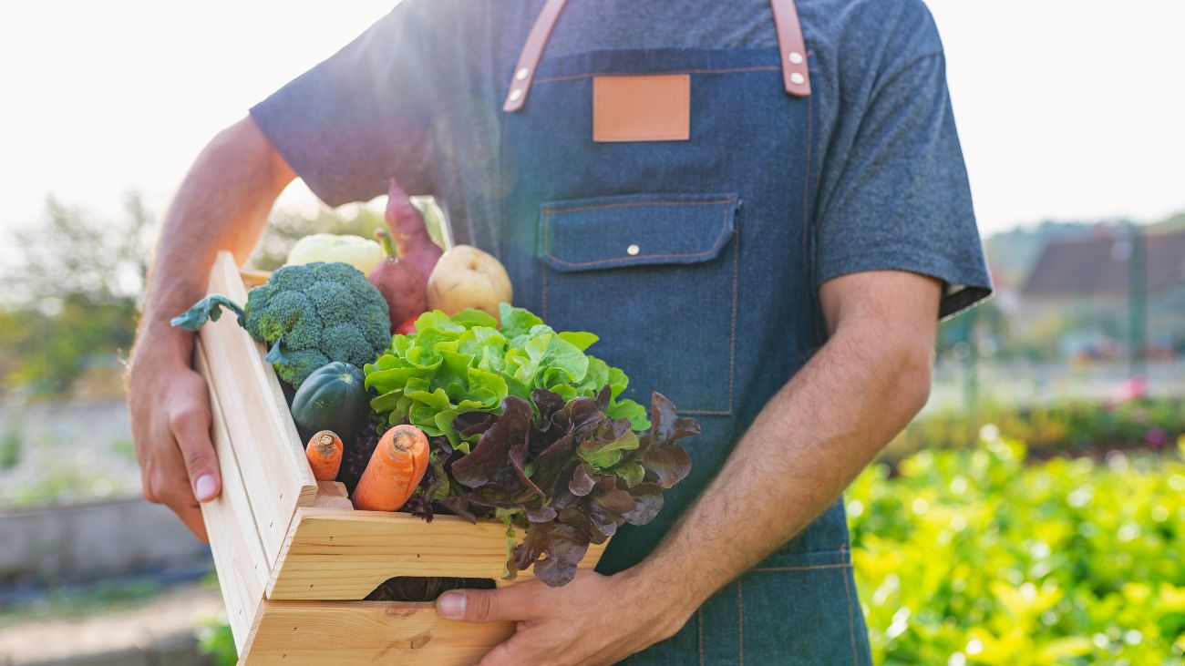 El consumo de productos orgánicos alcanza los 105 mil millones de dólares en ventas globales El consumo de productos orgánicos alcanza los 105 mil millones de dólares en ventas globales