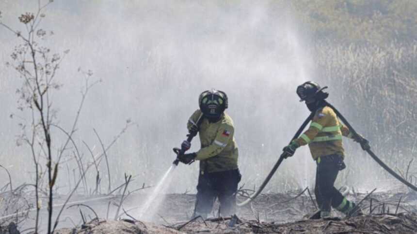 Detienen a bomberos por iniciar incendios en Melipilla ¿Cómo lo hicieron?