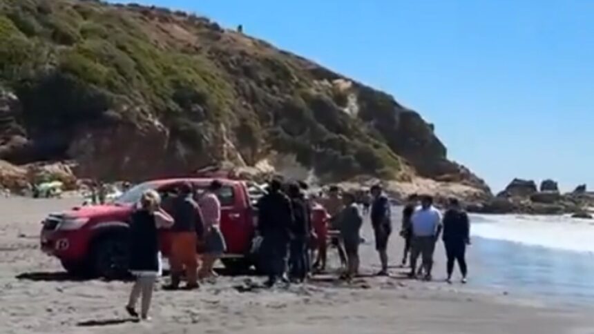 Tragedia en Cobquecura: Surfista muere tras impacto con embarcación pesquera
