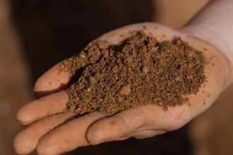 Proyecto de tierras raras en Penco: sostenibilidad y crecimiento económico en Chile