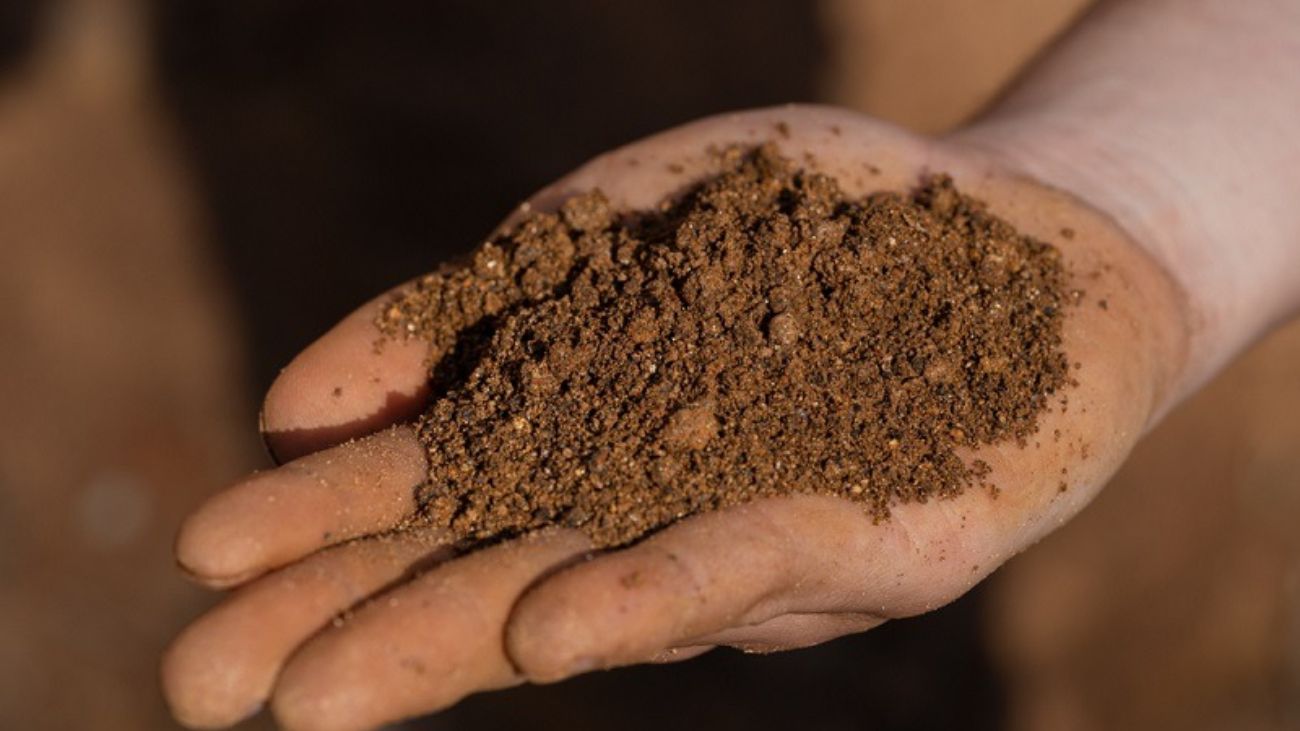 Proyecto de tierras raras en Penco: sostenibilidad y crecimiento económico en Chile Proyecto de tierras raras en Penco: sostenibilidad y crecimiento económico en Chile