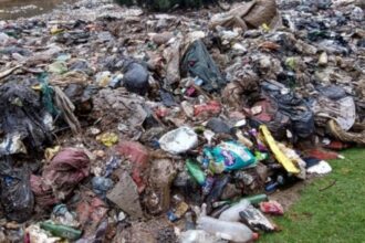 Contraloría ordena corregir irregularidades en vertedero de Morrompulli en Valdivia