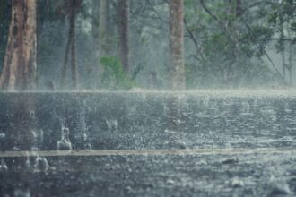 Lluvias en Chile el próximo lunes 24 de febrero: detallado pronóstico