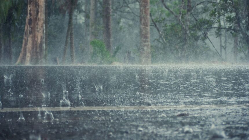 Lluvias en Chile el próximo lunes 24 de febrero: detallado pronóstico